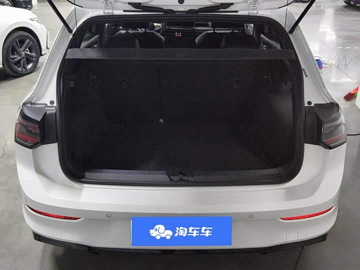 Volkswagen Golf 2025 2025款 300TSI R-Line