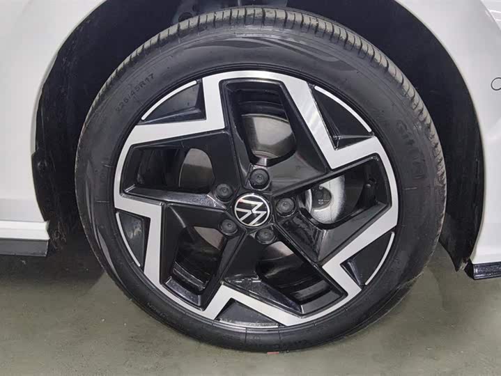 Volkswagen Golf 2025 2025款 300TSI R-Line