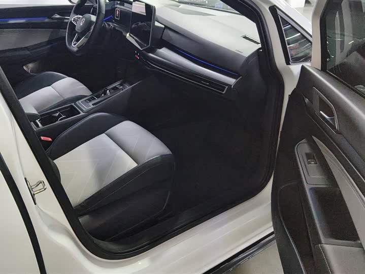 Volkswagen Golf 2025 2025款 300TSI R-Line