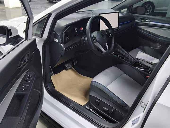 Volkswagen Golf 2025 2025款 300TSI R-Line