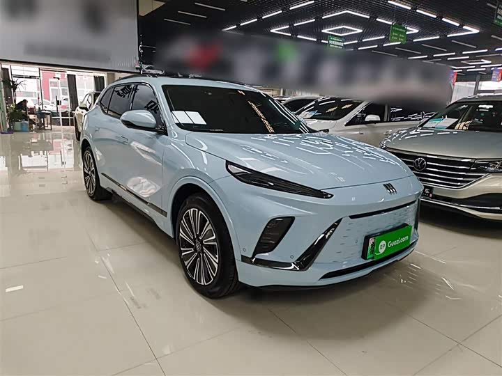 Buick Electra E5 2024 2024款 臻享标续影音版