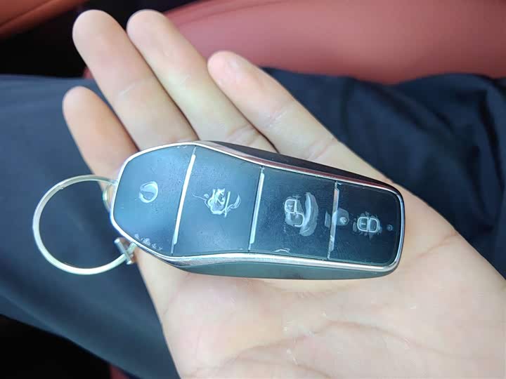 BYD Tang L 2025 2025款 EV 670KM激光雷达旗舰型