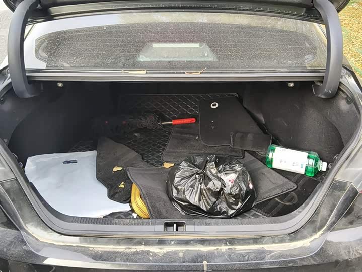 Toyota Camry 2024 2024款 双擎 2.0HGVP 豪华版