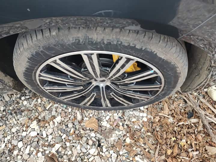 Denza N9 2025 2025款 尊荣型