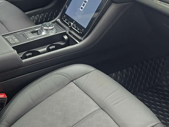 Ford Taurus 2019 2019款 EcoBoost 245 尊享版