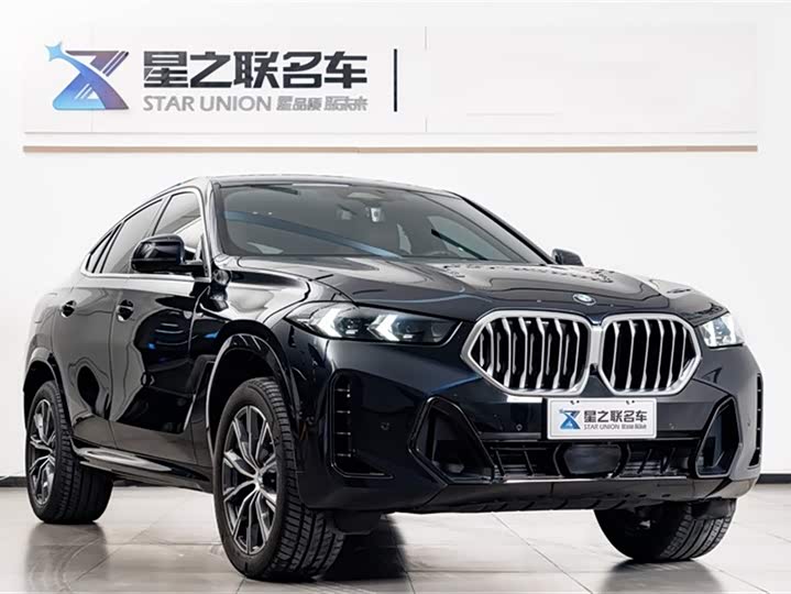 BMW X6 2023 2023款 xDrive30i M运动套装