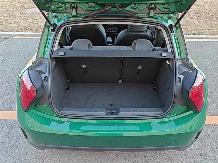 Mini Cooper 2025 2025款 463km COOPER SE 艺术家