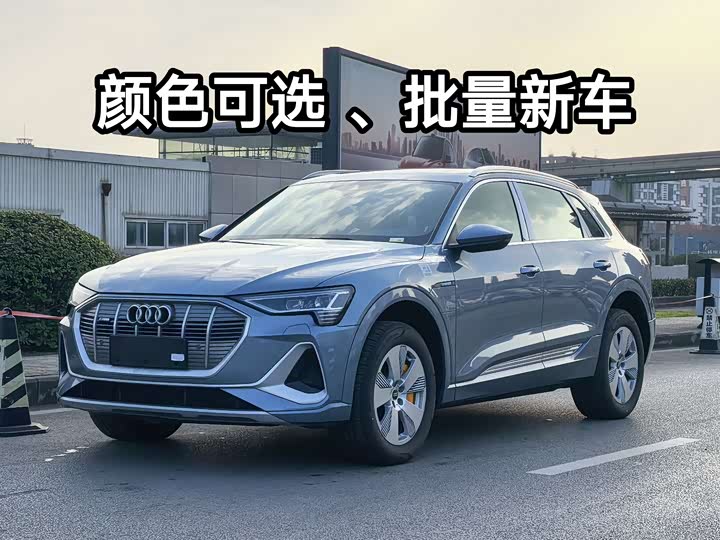 Audi e-tron 2021 2021款 50 quattro 豪华型