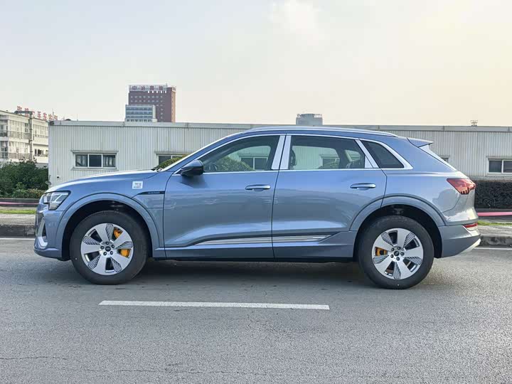 Audi e-tron 2021 2021款 50 quattro 豪华型