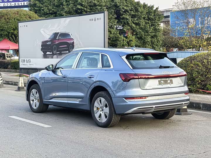 Audi e-tron 2021 2021款 50 quattro 豪华型