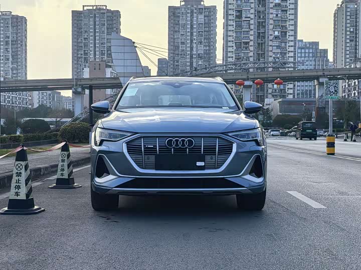 Audi e-tron 2021 2021款 50 quattro 豪华型