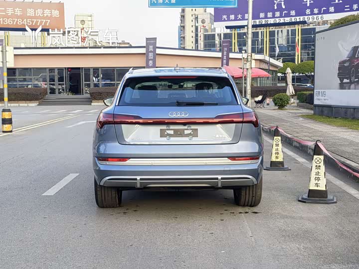 Audi e-tron 2021 2021款 50 quattro 豪华型