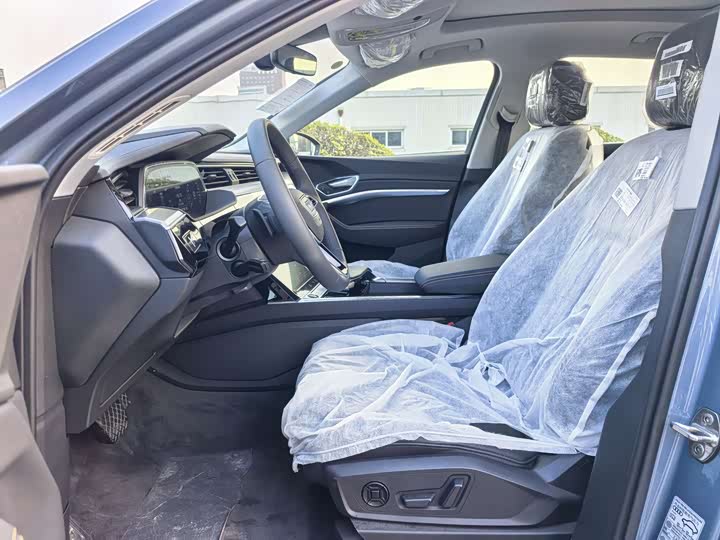 Audi e-tron 2021 2021款 50 quattro 豪华型