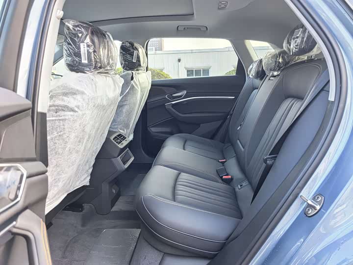 Audi e-tron 2021 2021款 50 quattro 豪华型