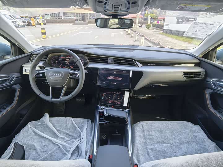Audi e-tron 2021 2021款 50 quattro 豪华型