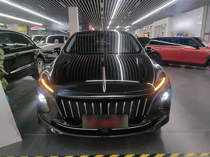 Hongqi E-QM5 2024 2024款 560km PLUS