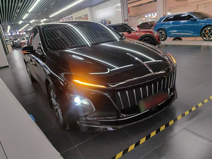 Hongqi E-QM5 2024 2024款 560km PLUS