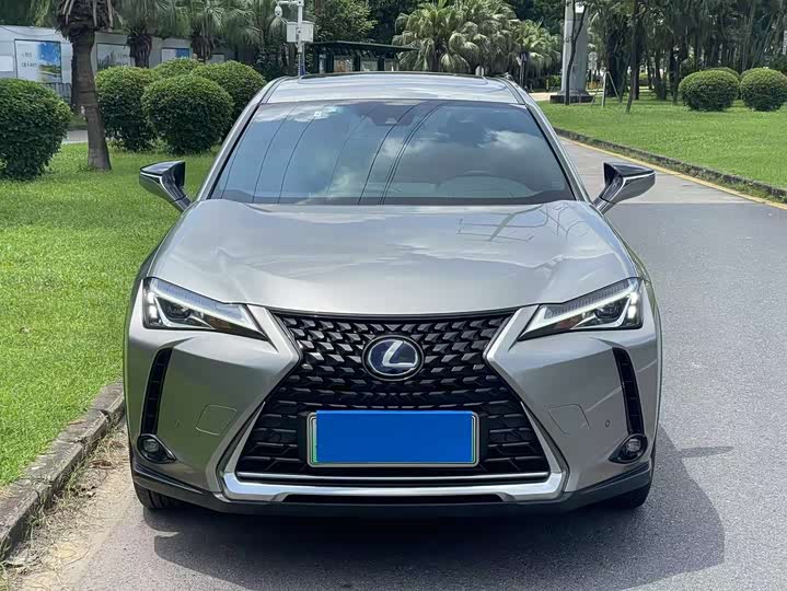 Lexus UX Hybrid 2020 2020款 300e 纯·悦版