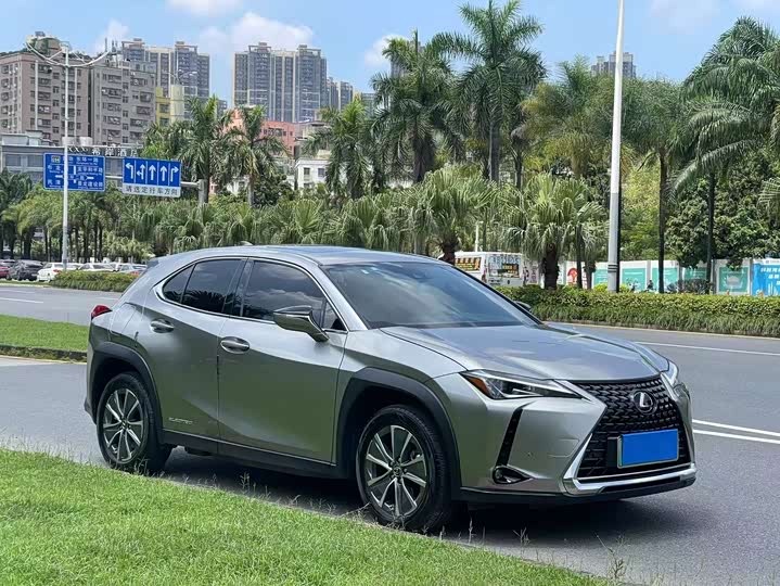 Lexus UX Hybrid 2020 2020款 300e 纯·悦版