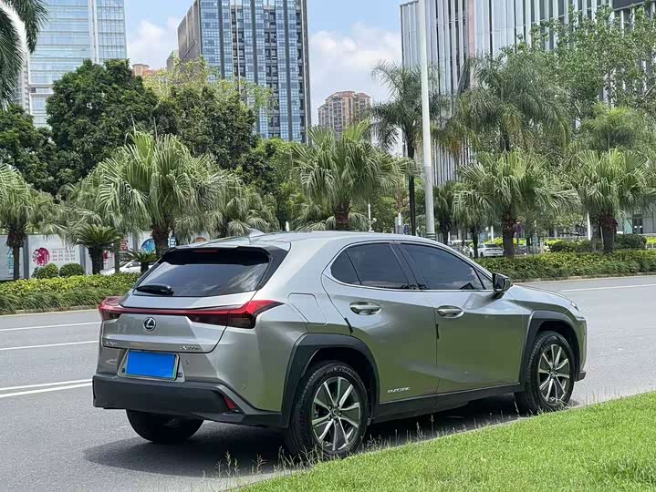Lexus UX Hybrid 2020 2020款 300e 纯·悦版