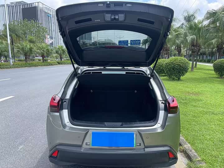 Lexus UX Hybrid 2020 2020款 300e 纯·悦版