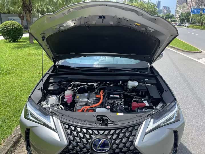 Lexus UX Hybrid 2020 2020款 300e 纯·悦版
