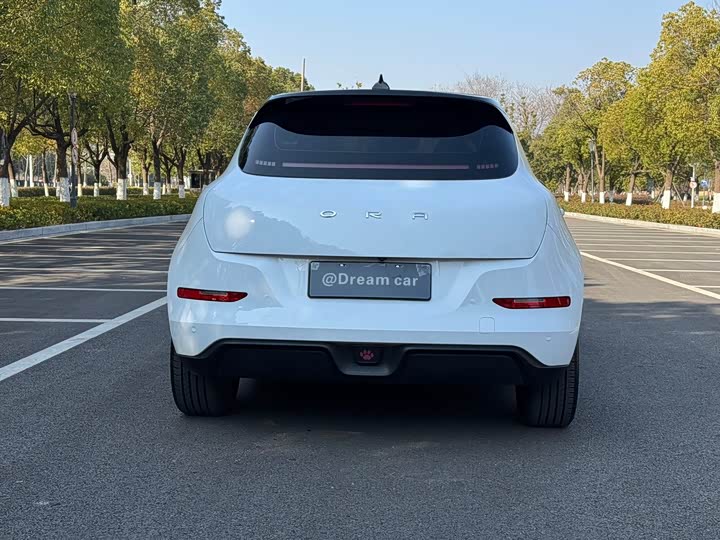 Ora Good Cat (03) 2024 2024款 401km 豪华型