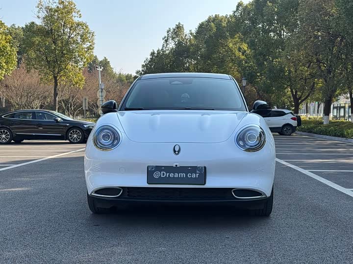 Ora Good Cat (03) 2024 2024款 401km 豪华型