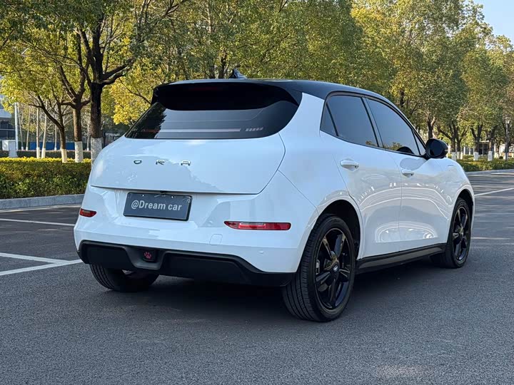 Ora Good Cat (03) 2024 2024款 401km 豪华型