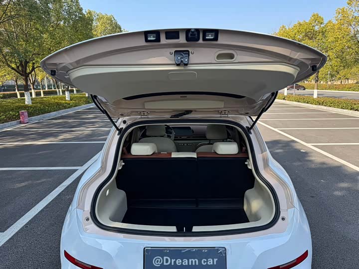 Ora Good Cat (03) 2024 2024款 401km 豪华型