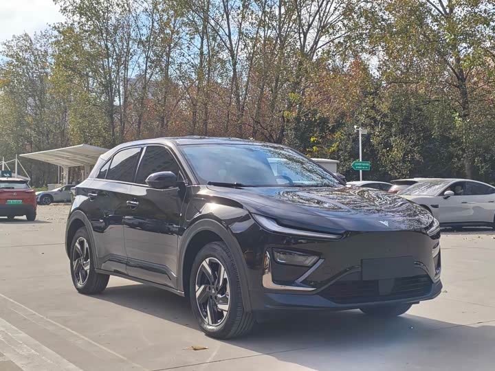 Hozon X 2025 2025款 500 Plus