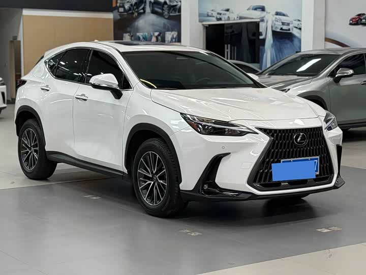 Lexus NX 2023 2023款 350h 前驱 创悦版