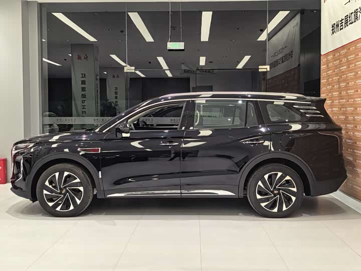 Hongqi HS7 Hybrid 2024 2024款 2.0T PHEV 四驱旗畅版 6座