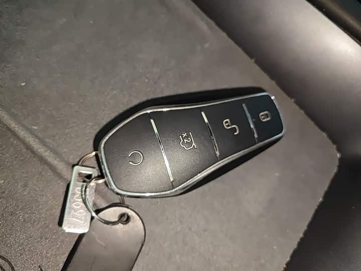 BYD Sea Lion 07 EV 2025 2025款 610智驾版