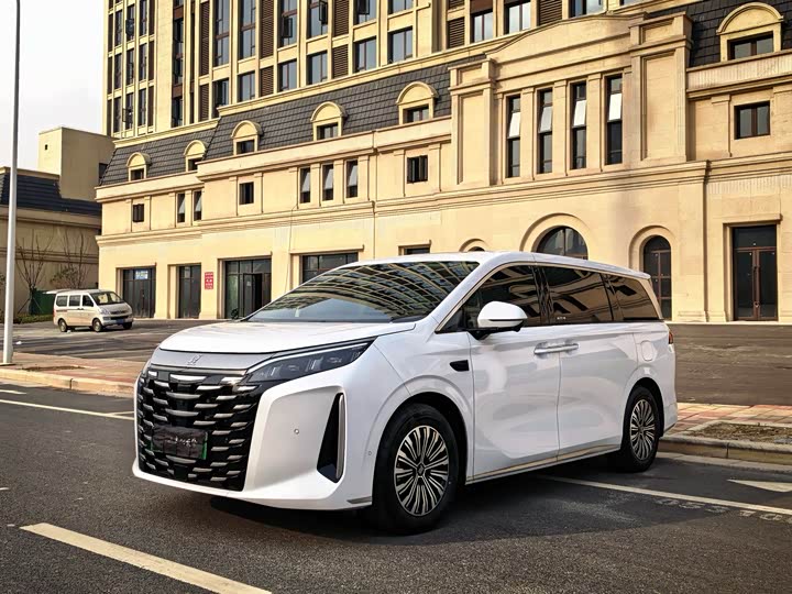 BYD Xia 2025 2025款 DM-i 1.5T 100km 领先型