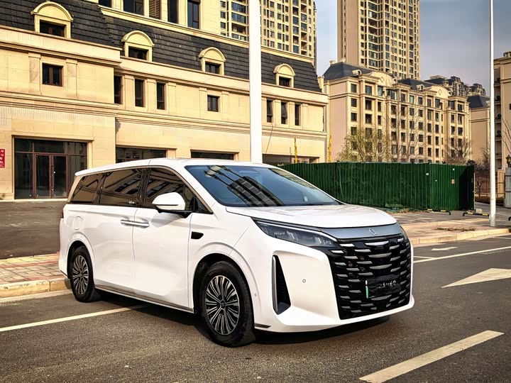 BYD Xia 2025 2025款 DM-i 1.5T 100km 领先型