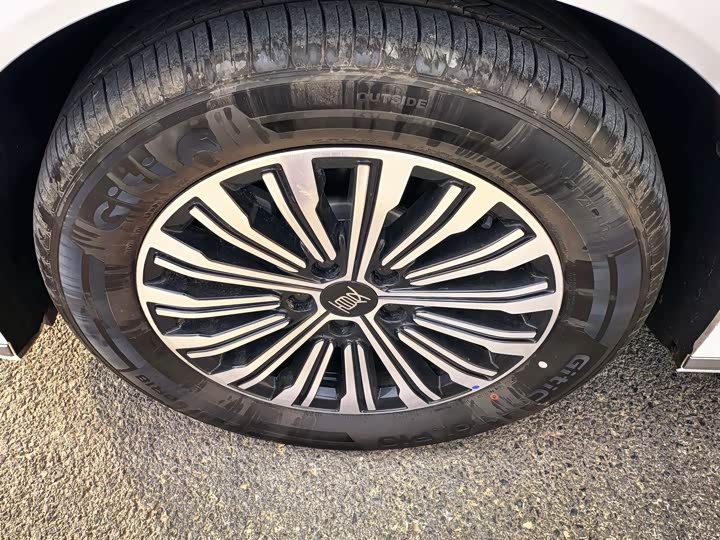 BYD Xia 2025 2025款 DM-i 1.5T 100km 领先型