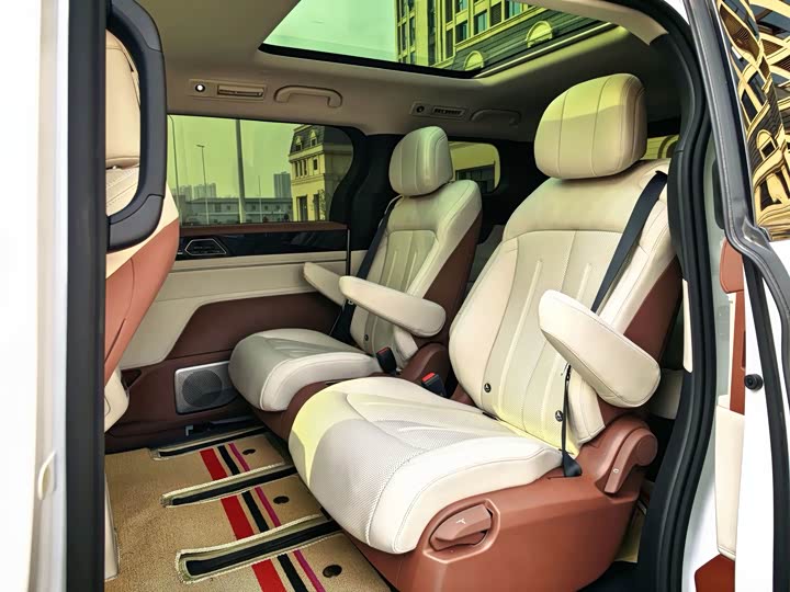 BYD Xia 2025 2025款 DM-i 1.5T 100km 领先型