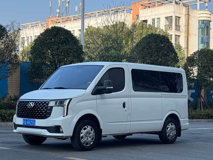 Maxus V80 2023 2023款 2.0T 手动经典傲运通短轴超低顶5/6座