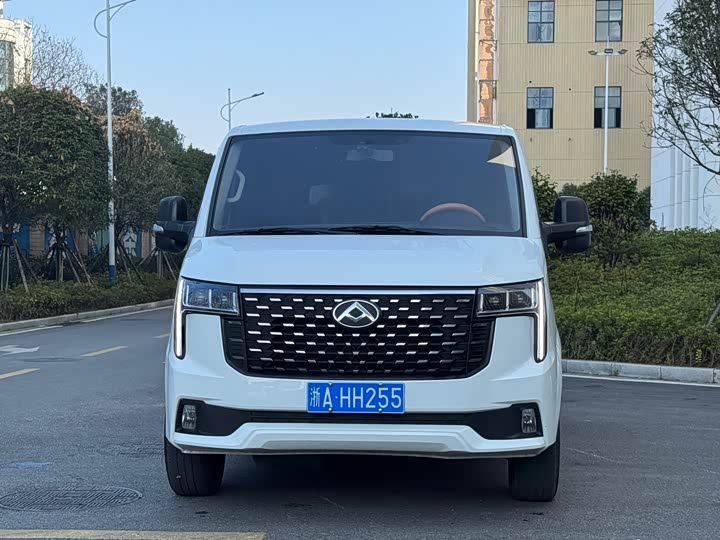 Maxus V80 2023 2023款 2.0T 手动经典傲运通短轴超低顶5/6座