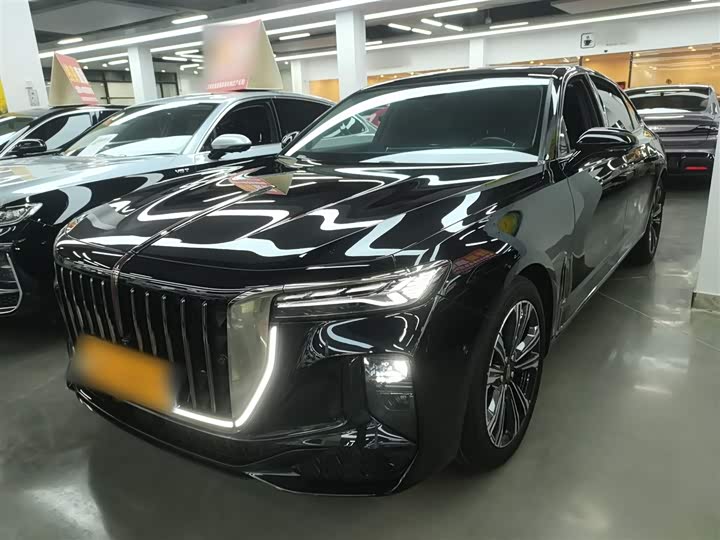 Hongqi H9 2024 2024款 2.0T 旗畅 私享风尚版