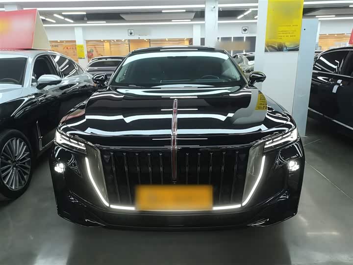 Hongqi H9 2024 2024款 2.0T 旗畅 私享风尚版