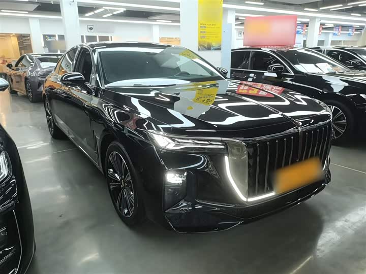 Hongqi H9 2024 2024款 2.0T 旗畅 私享风尚版
