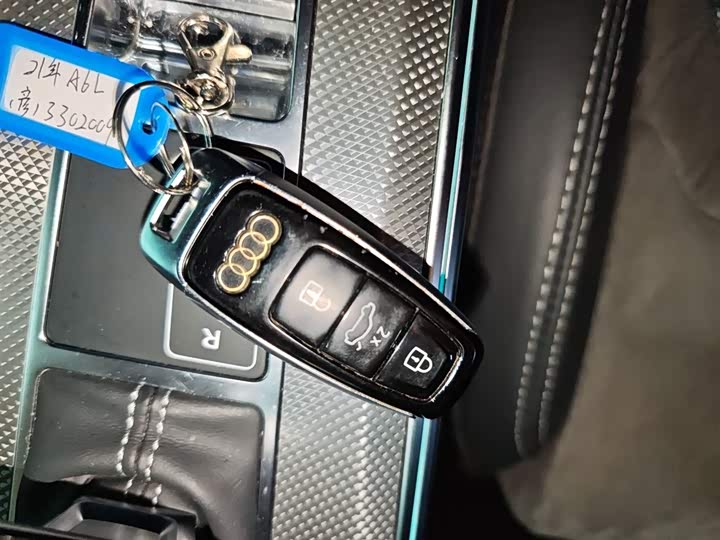 Audi A6L Hybrid 2020 2020款 55 TFSI e quattro