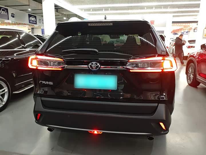 Toyota Wildlander 2024 2024款 2.0L CVT两驱领先版