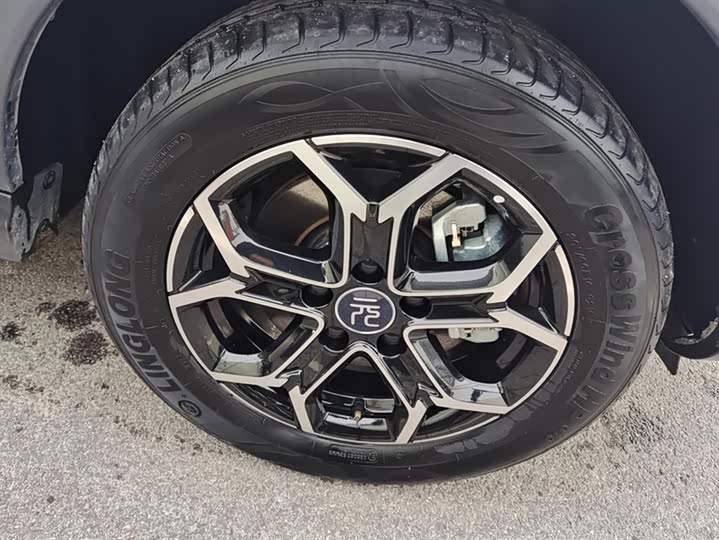 BYD Yuan Pro 2023 2023款 401KM豪华型