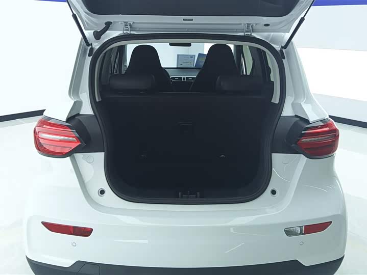 Leapmotor T03 2025 2025款 310舒享版