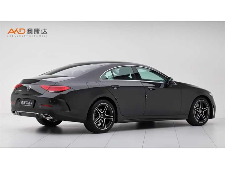 Mercedes-Benz CLS-Class 2023 2023款 改款 CLS 300 动感型