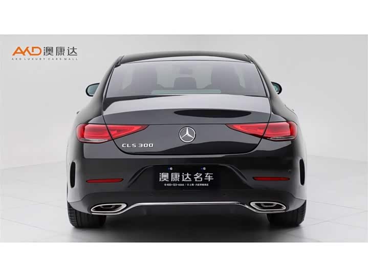 Mercedes-Benz CLS-Class 2023 2023款 改款 CLS 300 动感型