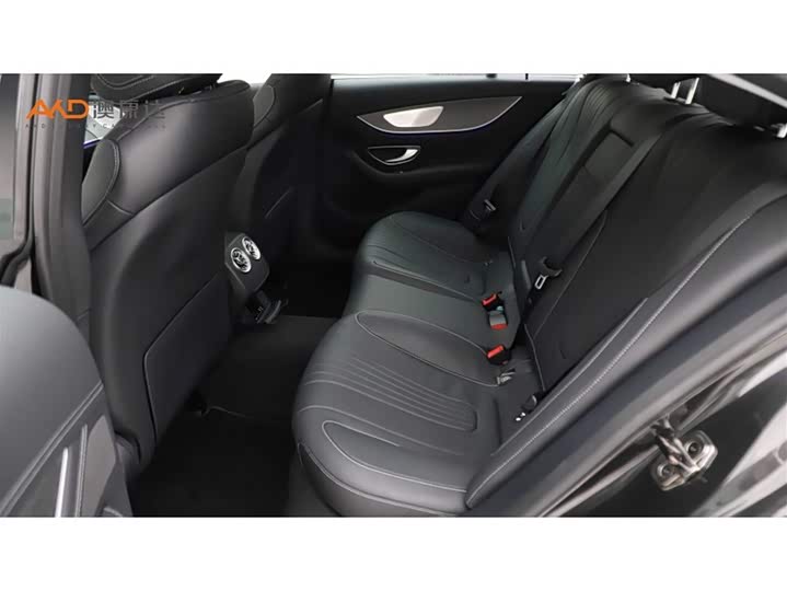 Mercedes-Benz CLS-Class 2023 2023款 改款 CLS 300 动感型